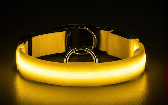 AUVORI™ GlowGuard LED Safety Collar