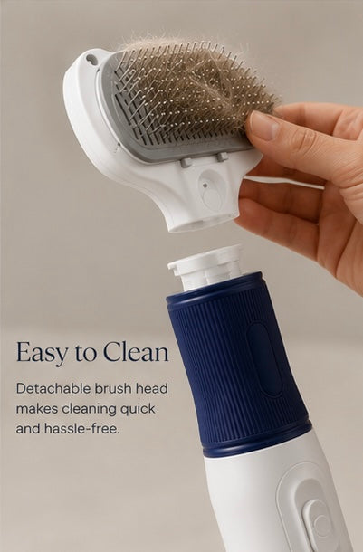 AUVORI™ DryBrush Pro