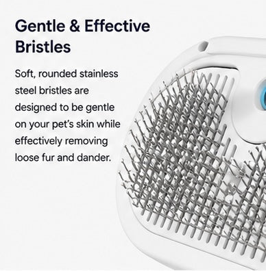 AUVORI™ Hydrating Grooming Brush