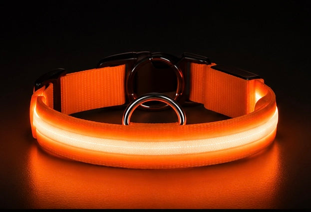AUVORI™ GlowGuard LED Safety Collar