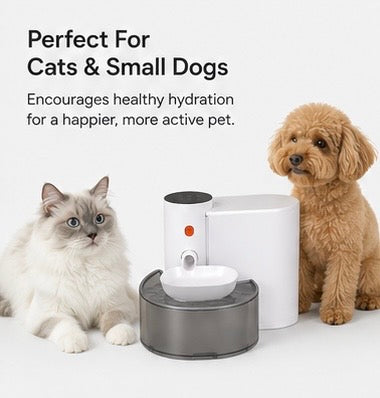AUVORI™ AquaFlow Smart Water Bowl