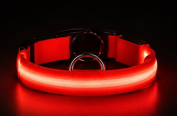 AUVORI™ GlowGuard LED Safety Collar