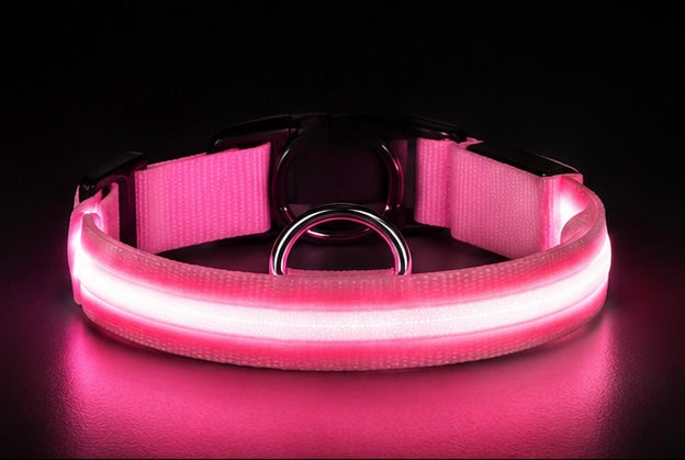 AUVORI™ GlowGuard LED Safety Collar