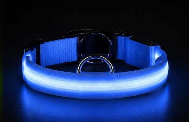 AUVORI™ GlowGuard LED Safety Collar