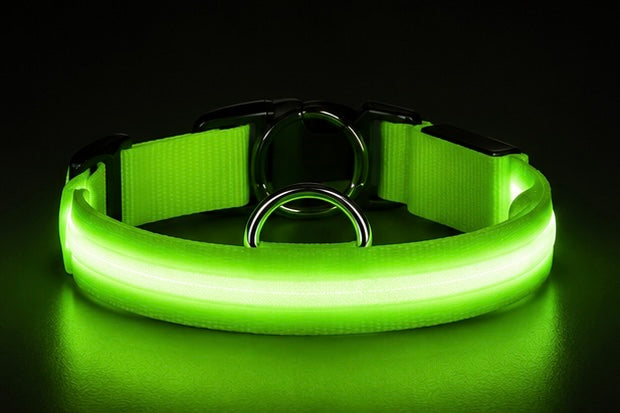 AUVORI™ GlowGuard LED Safety Collar
