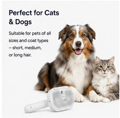 AUVORI™ Hydrating Grooming Brush