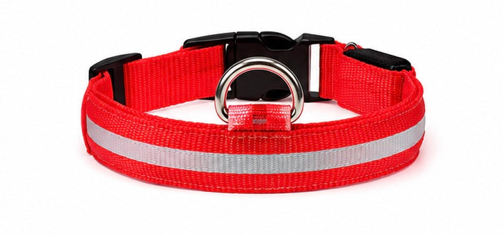 AUVORI™ GlowGuard LED Safety Collar