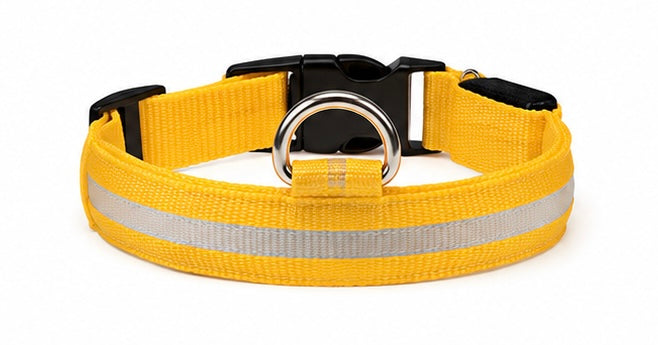 AUVORI™ GlowGuard LED Safety Collar