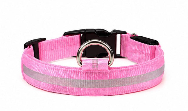 AUVORI™ GlowGuard LED Safety Collar