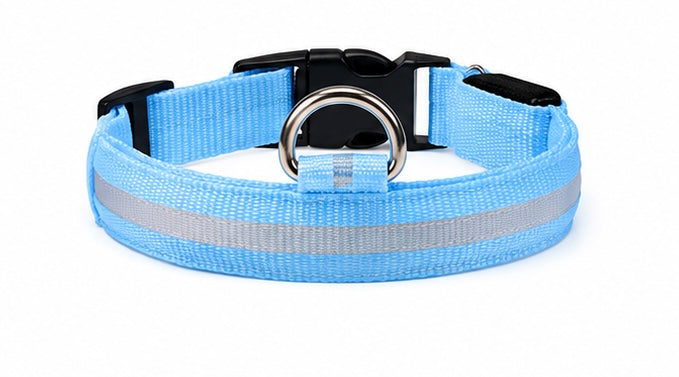 AUVORI™ GlowGuard LED Safety Collar