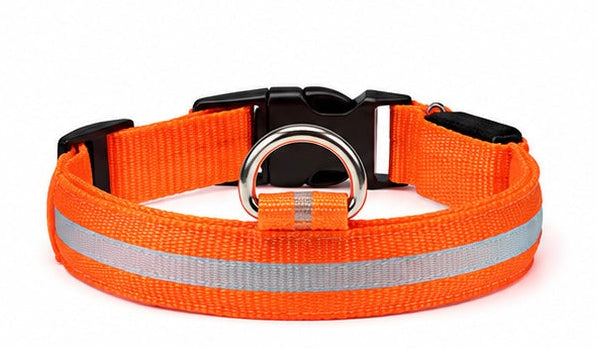 AUVORI™ GlowGuard LED Safety Collar