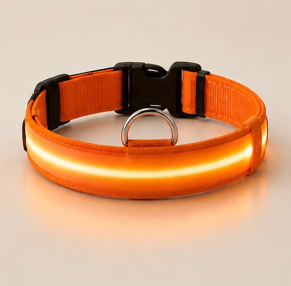 AUVORI™ GlowGuard LED Safety Collar