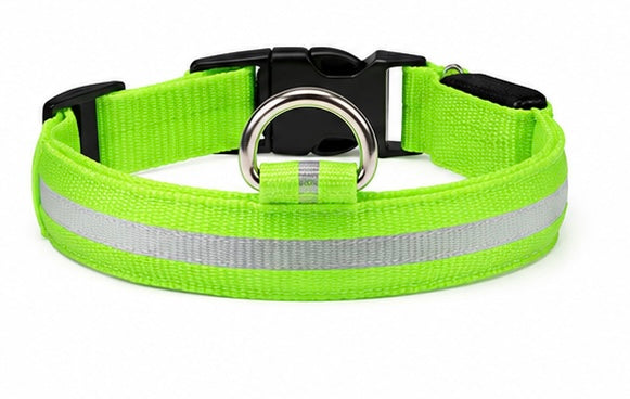 AUVORI™ GlowGuard LED Safety Collar